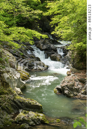 帝釈峡の春 断魚渓 帝釈峡の春 断魚渓 86618213