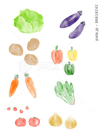 常備野菜のセット 86618242