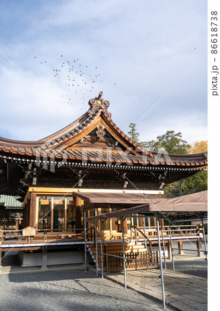 【静岡県】 三嶋大社 【静岡県】 三嶋大社 86618738