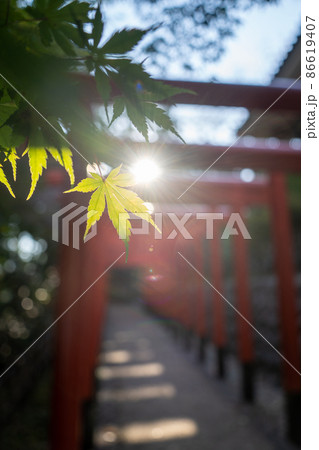 【静岡県】　法多山尊永寺 86619407