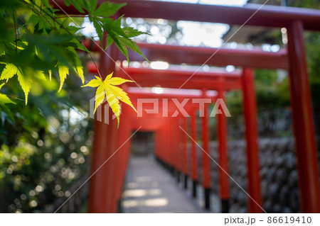 【静岡県】 法多山尊永寺 【静岡県】 法多山尊永寺 86619410