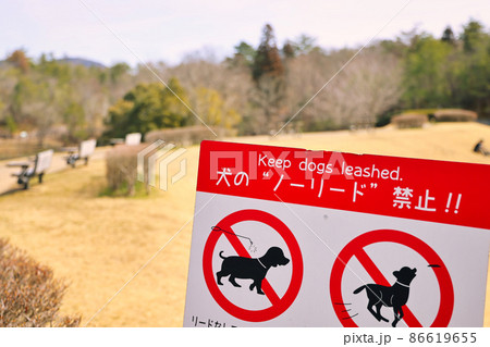 有馬富士公園を散歩中に見つけた犬ノーリード禁止の注意看板 86619655