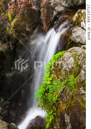 奥匹見峡の渓谷沿いの新緑風景です。岩肌と新緑のコントラストをどうぞ。島根県 奥匹見峡の渓谷沿いの新緑風景です。岩肌と新緑のコントラストをどうぞ。島根県 86619757