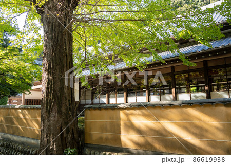 【静岡県】　法多山尊永寺 86619938