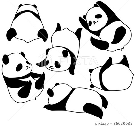 Panda Baby Set Stock Illustration
