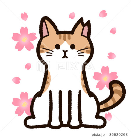 さくらねこと桜の花 茶トラ ハチワレ さくらねこと桜の花 茶トラ ハチワレ 86620268