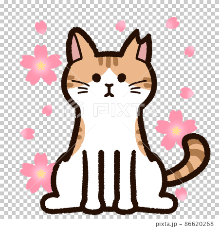 さくらねこと桜の花 茶トラ ハチワレ さくらねこと桜の花 茶トラ ハチワレ 86620268
