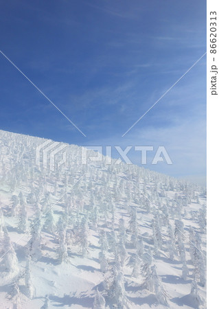 樹氷 霧氷 蔵王 樹氷 霧氷 蔵王 86620313