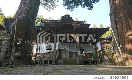 新海三社神社(拝殿) 新海三社神社(拝殿) 86620801