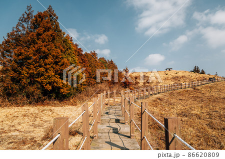 Yeongju Mountain Oreum volcanic cone hiking trail road at winter in Jeju Island, Korea 86620809