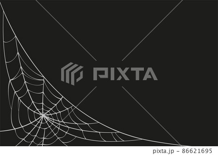 Scary spider web. White cobweb silhouette isolated on black background. Doodle spideweb angle. Hand drawn cob web for Halloween party. Vector illustration Scary spider web. White cobweb silhouette isolated on black background. Doodle spideweb angle. Hand drawn cob web for Halloween party. Vector illustration 86621695