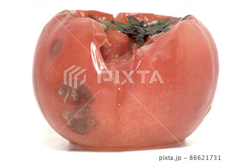 白背景の冷蔵庫でカビが生えて半分腐りかけになったトマト 86621731