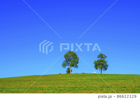 山田池公園 青空と緑の丘 86622129