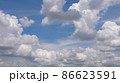 風にまかせて 86623591