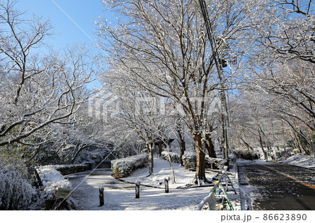 雪景色の湘南平（神奈川県平塚市） 86623890