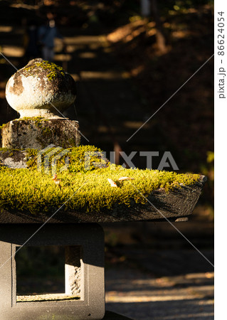 【長野県】　戸隠神社宝光社 86624054