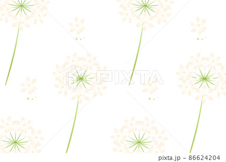 アガパンサス 86624204