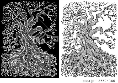 Black and white mystic fantasy tree line art vector illustration with occult and esoteric symbols, four seasons concept Black and white mystic fantasy tree line art vector illustration with occult and esoteric symbols, four seasons concept 86624386