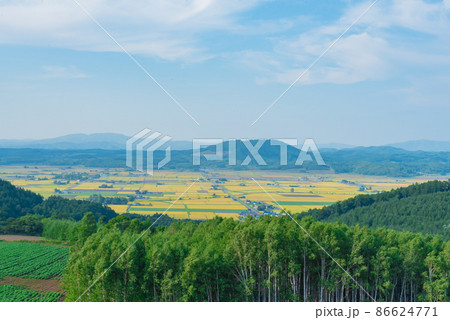 深川の景色 86624771