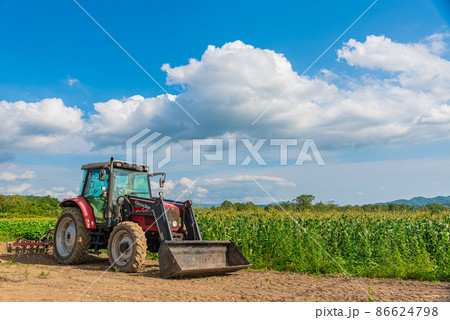 トラクターととうもろこし畑 86624798