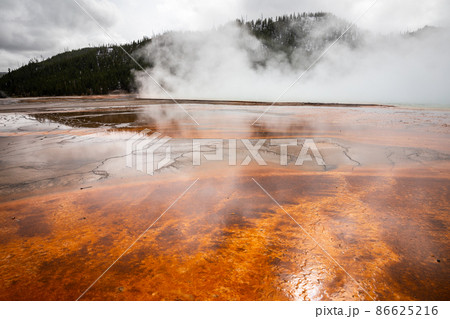 Landscape of swam area with natural texture on land surface in Yellowstone. 86625216