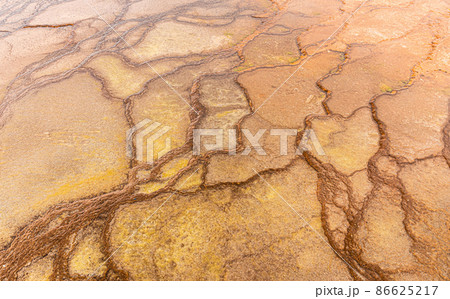 Landscape of swam area with natural texture on land surface in Yellowstone. 86625217