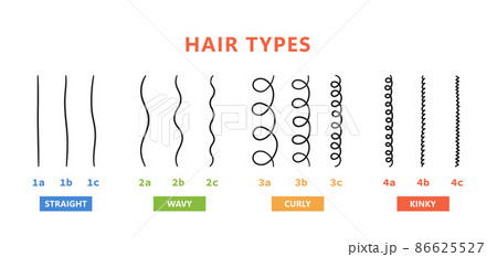 Classification of hair types - straight, wavy, curly, kinky. Scheme of different types of hair. Curly girl method. Vector illustration on white background Classification of hair types - straight, wavy, curly, kinky. Scheme of different types of hair. Curly girl method. Vector illustration on white background 86625527