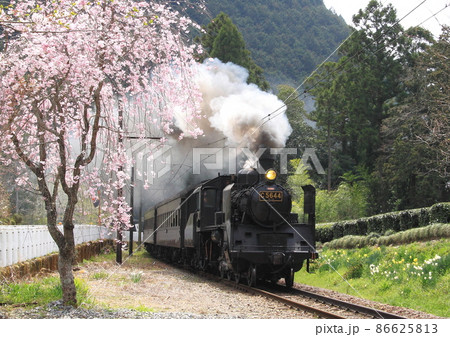 大井川鐵道で満開の桜を横目に走る蒸気機関車 大井川鐵道で満開の桜を横目に走る蒸気機関車 86625813