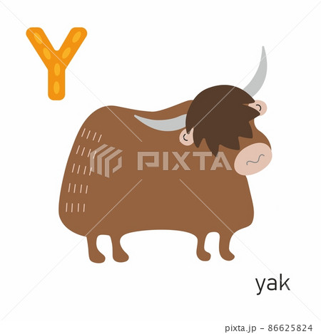 Letter Y. Yak. Zoo animal alphabet. White background. Flat design. Vector illustration Letter Y. Yak. Zoo animal alphabet. White background. Flat design. Vector illustration 86625824