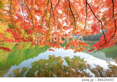 山梨_南伊奈ヶ湖の紅葉風景 山梨_南伊奈ヶ湖の紅葉風景 86626005