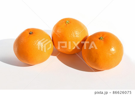 柑橘類（はるみ） 86626075