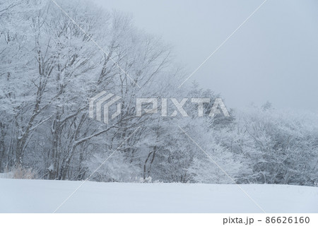 冬の景色 86626160