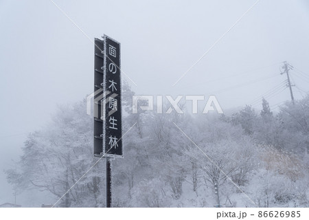 冬の面の木原生林 86626985