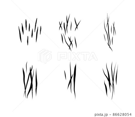 animal scratches set 86628054