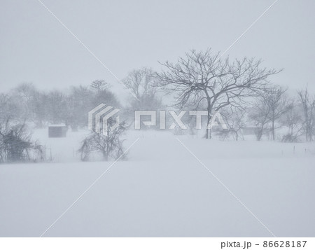 雪の農村風景 雪の農村風景 86628187