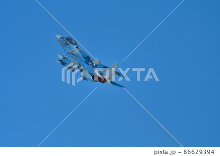 F-15DJアグレッサー 86629394