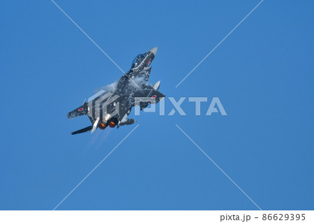 F-15DJアグレッサー 86629395