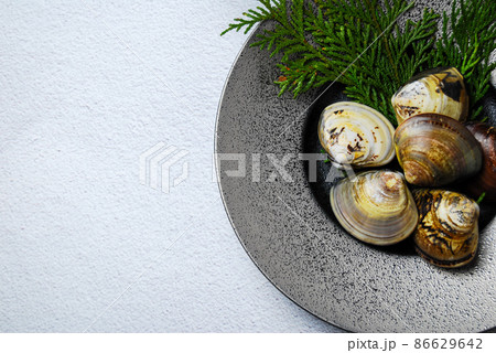 新鮮なはまぐり 86629642