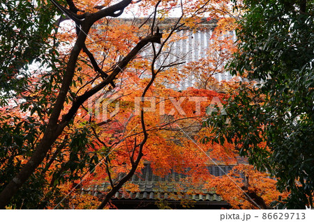 【中国三十三観音霊場】第五番　法界院の紅葉と仁王門　岡山県岡山市北区 86629713