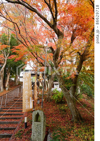 【中国三十三観音霊場】第五番　法界院の紅葉と石段3　岡山県岡山市北区 86629718
