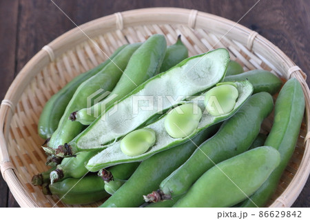 ザルに入れたそら豆 86629842