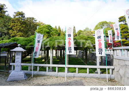 【瀬戸内三十三観音霊場】第一番 不洗観音寺の影向の松 岡山県倉敷市 【瀬戸内三十三観音霊場】第一番 不洗観音寺の影向の松 岡山県倉敷市 86630810