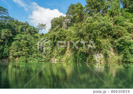 Bukit Batok Nature Park Bukit Batok Nature Park 86630859