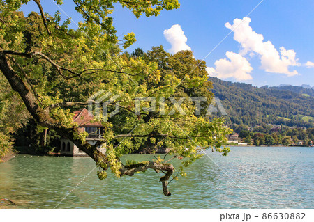 【トゥーン】トゥーン湖 【トゥーン】トゥーン湖 86630882