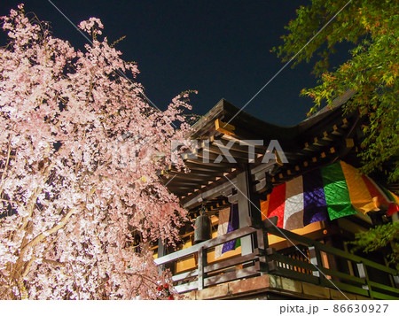 東京板橋・南蔵院のしだれ桜ライトアップ 東京板橋・南蔵院のしだれ桜ライトアップ 86630927