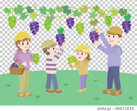 ぶどう狩りをする家族のイラスト ぶどう狩りをする家族のイラスト 86631839