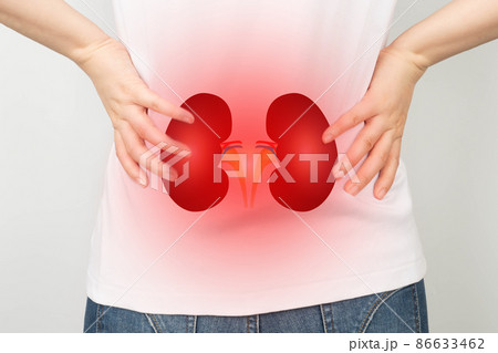 Woman suffering from low back pain with kidney anatomy shape. Cause of flank pain include urinary tract infection, kidney infection, kidney stone, an injury or kidney cancer. Nephrology concept. 86633462