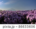 シバザクラと富士山 86633606