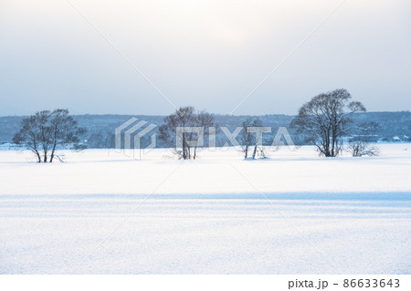 夕暮れの北海道冬景色 86633643