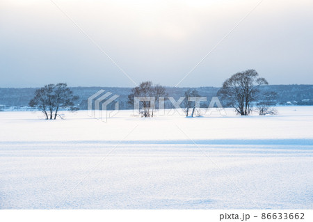 夕暮れの北海道冬景色 86633662